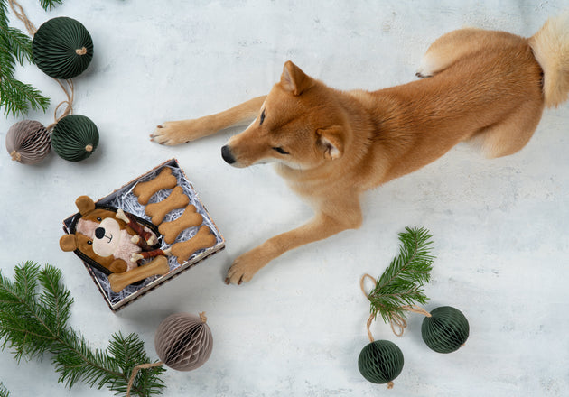 🍪 Baked Cookie Treats for Dogs: A Healthy Way to Keep Your Pup Happy